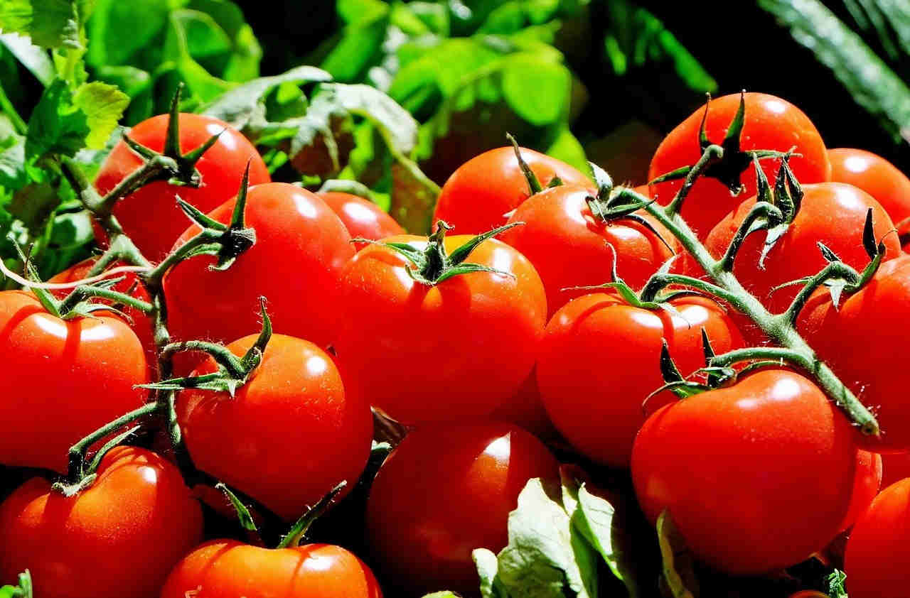 Tomate marché