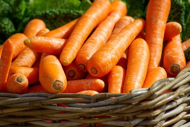 Panière de carottes