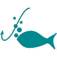 Logo ancrage peche bleu