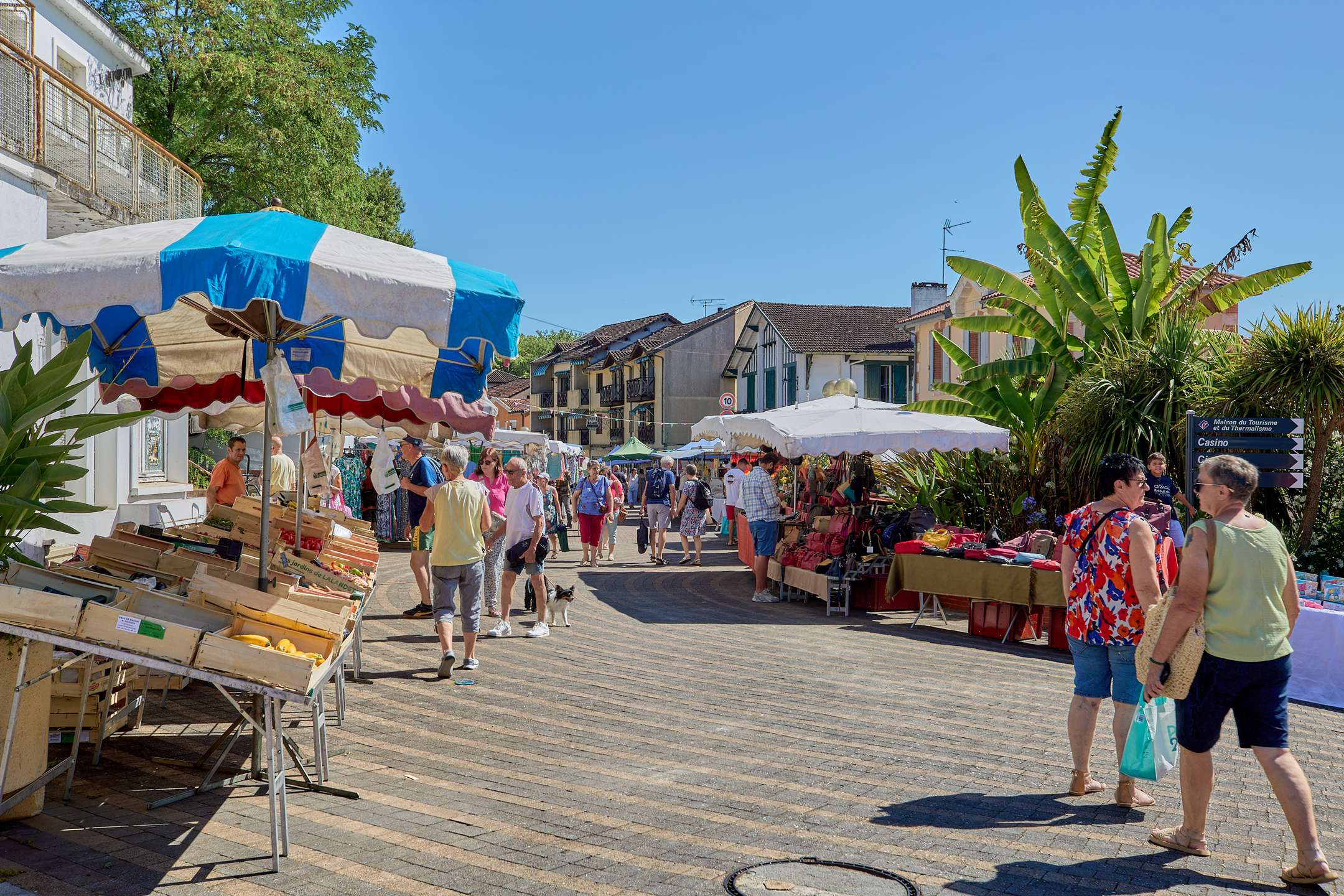 Studio en rez de chaussées 2 personnes sans vis à vis - climatisation  Photo du bien 12